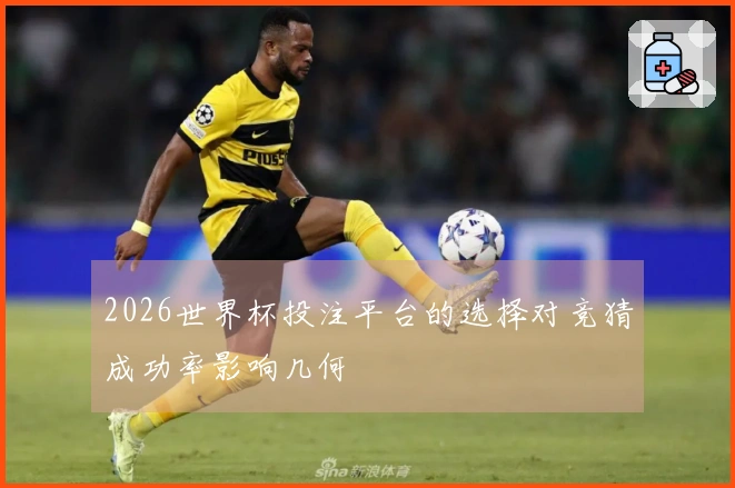 2026世界杯投注平台的选择对竞猜成功率影响几何