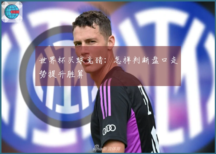 世界杯买球竞猜：怎样判断盘口走势提升胜算