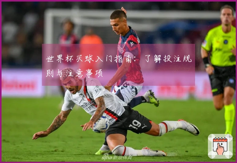 世界杯买球入门指南：了解投注规则与注意事项