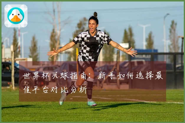 世界杯买球指南：新手如何选择最佳平台对比分析