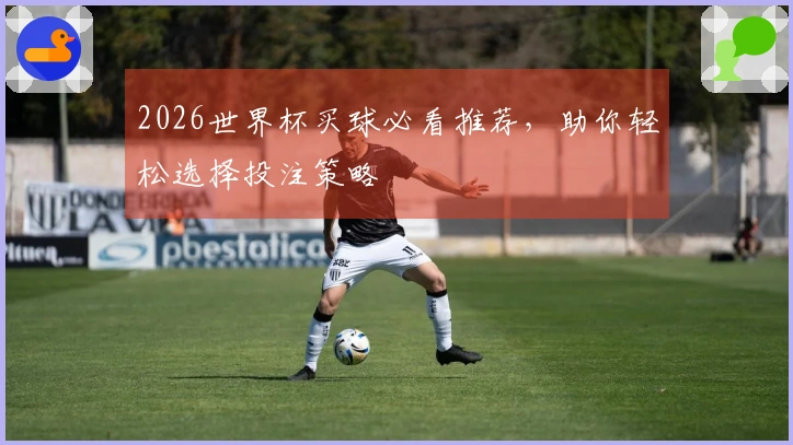 2026世界杯买球必看推荐，助你轻松选择投注策略