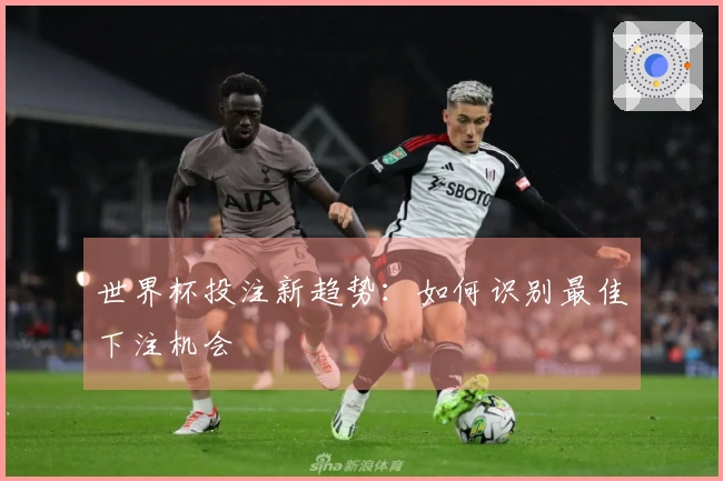 世界杯投注新趋势：如何识别最佳下注机会