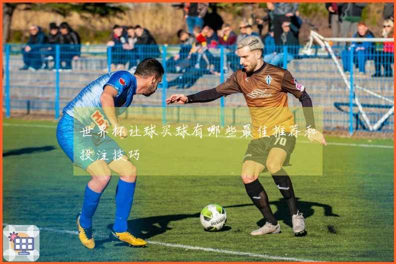 世界杯让球买球有哪些最佳推荐和投注技巧
